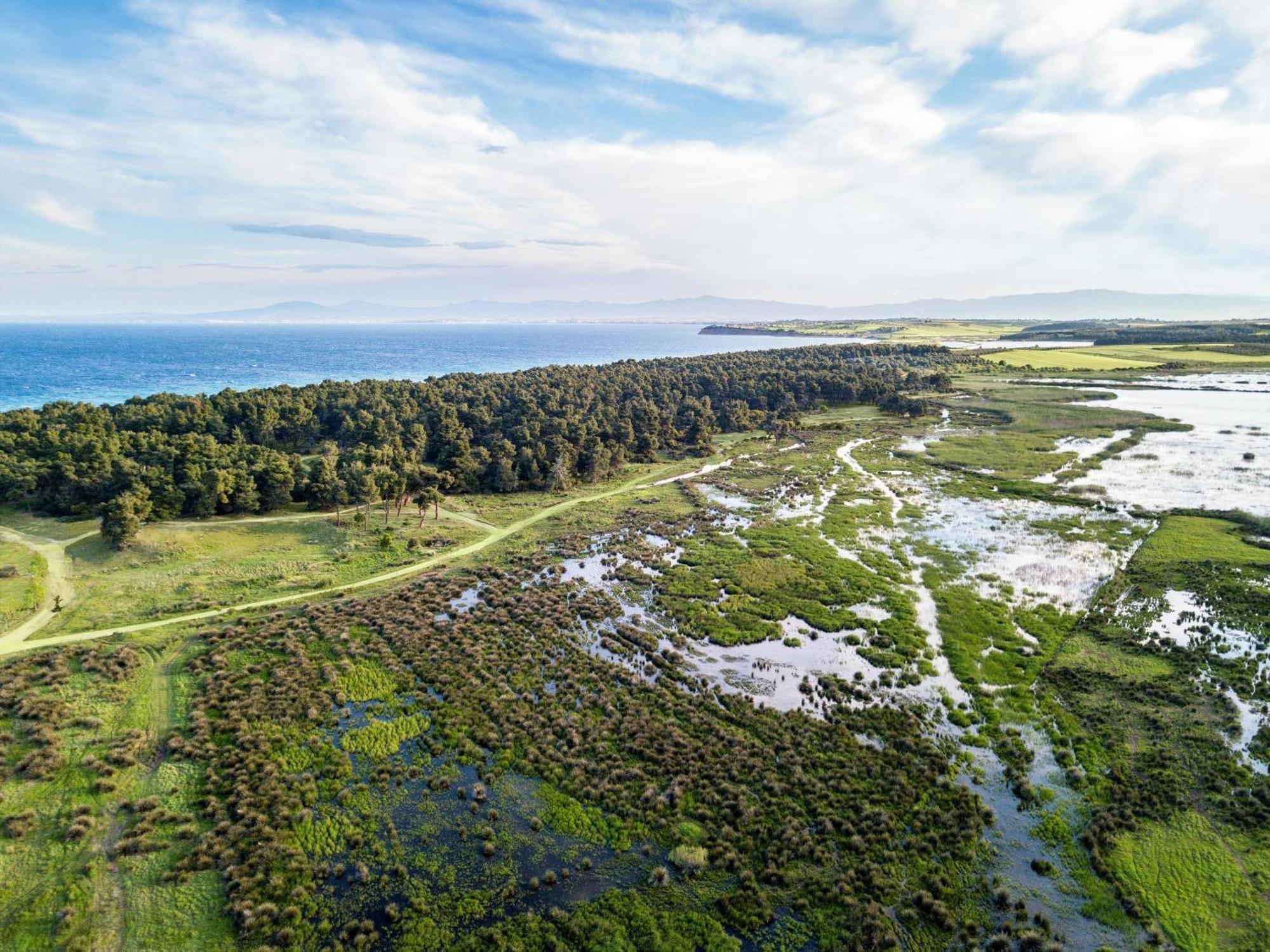 Sani Beach Eksteriør bilde